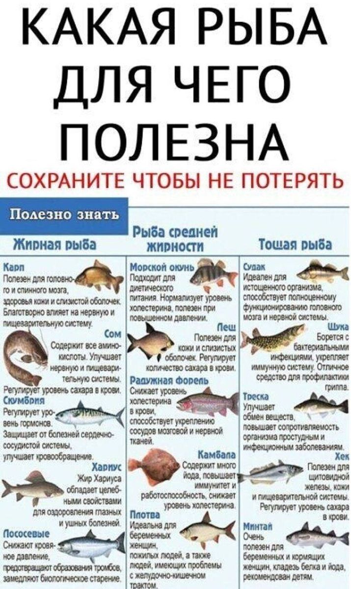 Польза от употребления рыбы